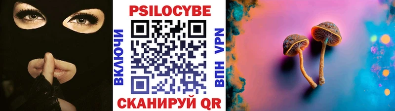 Купить  Жердевка  Псилоцибиновые грибы мухоморы 